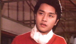 张国荣电视剧,光影交织的传奇人生